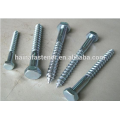 hex head lag Screw